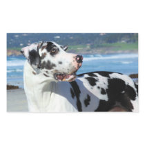 Great Dane - Harlequin - Bogey Rectangular Stickers