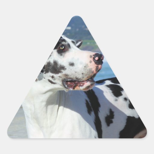 Great Dane - Harlequin - Bogey Triangle Sticker