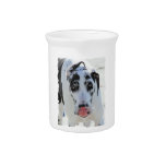 Great Dane - Harlequin - My Tongue Touches My Nose Drink Pitchers