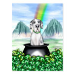 Great Dane Harlequin UC Pot O Gold Post Card