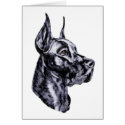 Great Dane Head Study Black cards