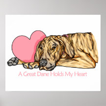 Great Dane Holds Heart Brindle UC Print