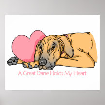 Great Dane Holds Heart Fawn UC Print