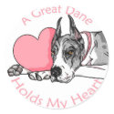 Great Dane Holds Heart MerleB stickers