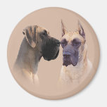 Great Dane King of Dogs Magnet