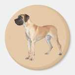 Great Dane King of Dogs Magnet