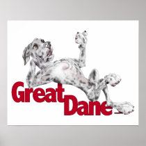 Great Dane Laid Back Merle UC posters