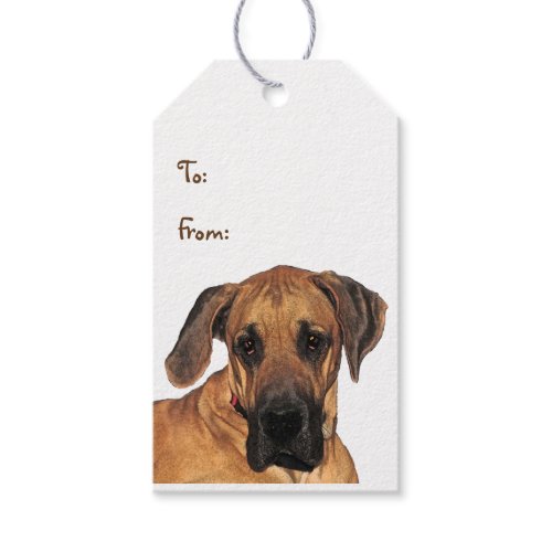 Great Dane Pack of Gift Tags