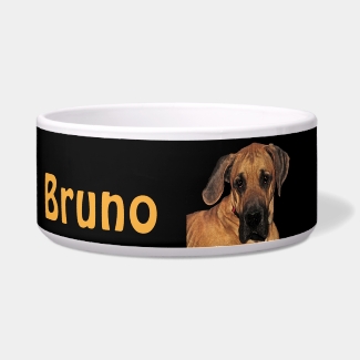 Great Dane Pet Bowl