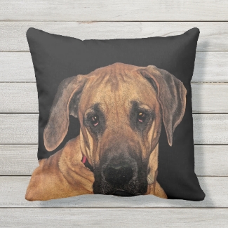 Great Dane Pet Dog Outdoor Pillow