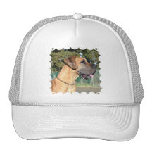 Great Dane Photo Baseball Hat