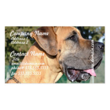 Great Dane Photo Business Cards