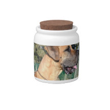 Great Dane Photo Candy Jar