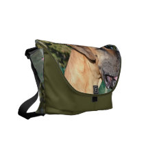 Great Dane Photo Messenger Bag