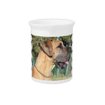 Great Dane Photo Pitcher