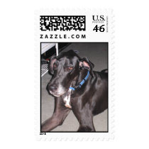 Great Dane postage