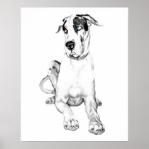 Great Dane Pouting Harlequin posters