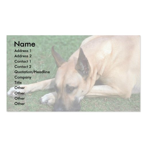 Great Dane resting Business Cards