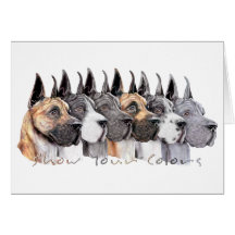 Great Dane Show Colors Group Cards