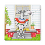 Great Dane SPIT Harlequin Fridge Magnets