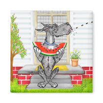 Great Dane SPIT Merle Fridge Magnets