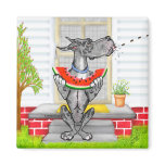 Great Dane SPIT Merle Fridge Magnets