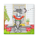 Great Dane SPIT MerleB Magnet