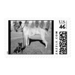 Great Dane Stamp
