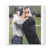 GREAT DANES ARE BIG! magnets by KABSANNIE GREAT DANES ARE BIG! magnets