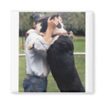 GREAT DANES ARE BIG! magnets