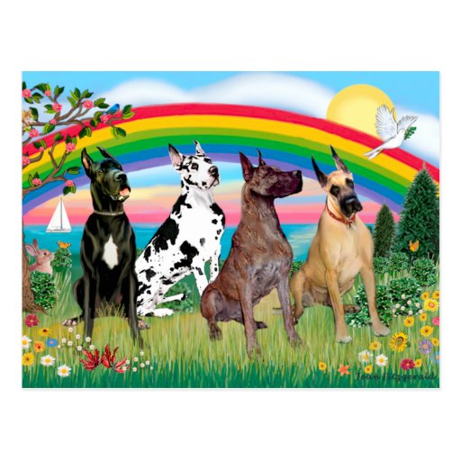 Great Danes (four) - Rainbow Bright Postcards