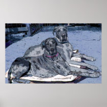 Great Danes Hero and Hope Poster