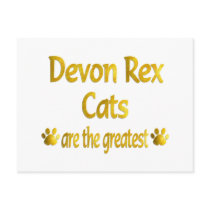 Gran Devon Rex tarjetas postales by MyFavoriteCat Gran Devon Rex tarjetas postales