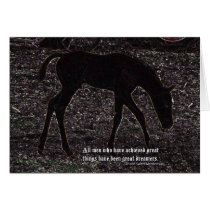 Great Dreamer Card by dtreasures Great Dreamer Card