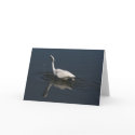 Great Egret Card by farmer77 Great Egret Card