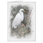 Great Egret Greeting Card