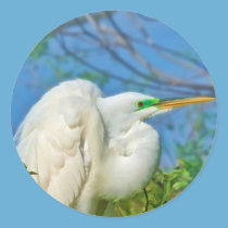 Great Egret in a Tree Sticker stickers