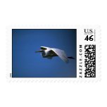 Great Egret, in flight Postage