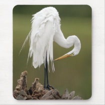 Great Egret mousepads