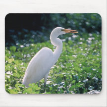 Great Egret Mousepad