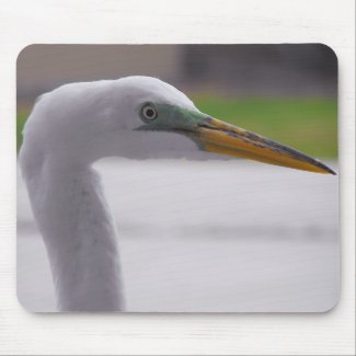 Great Egret posing mousepad