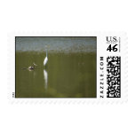 Great Egret Postage Stamp