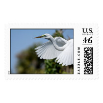 Great Egret postage by matthew_hull Great Egret postage