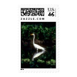 Great Egret Postage