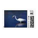 Great Egret Postage Stamps