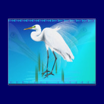 Great Egret Postcard postcards