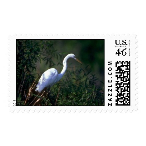 Great Egret Stamp