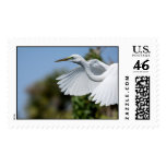 Great Egret Stamp