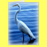 Great Egret Standing Tall Card cards
