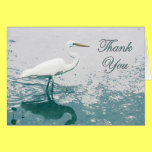 Great Egret Wading Thank You Card cards